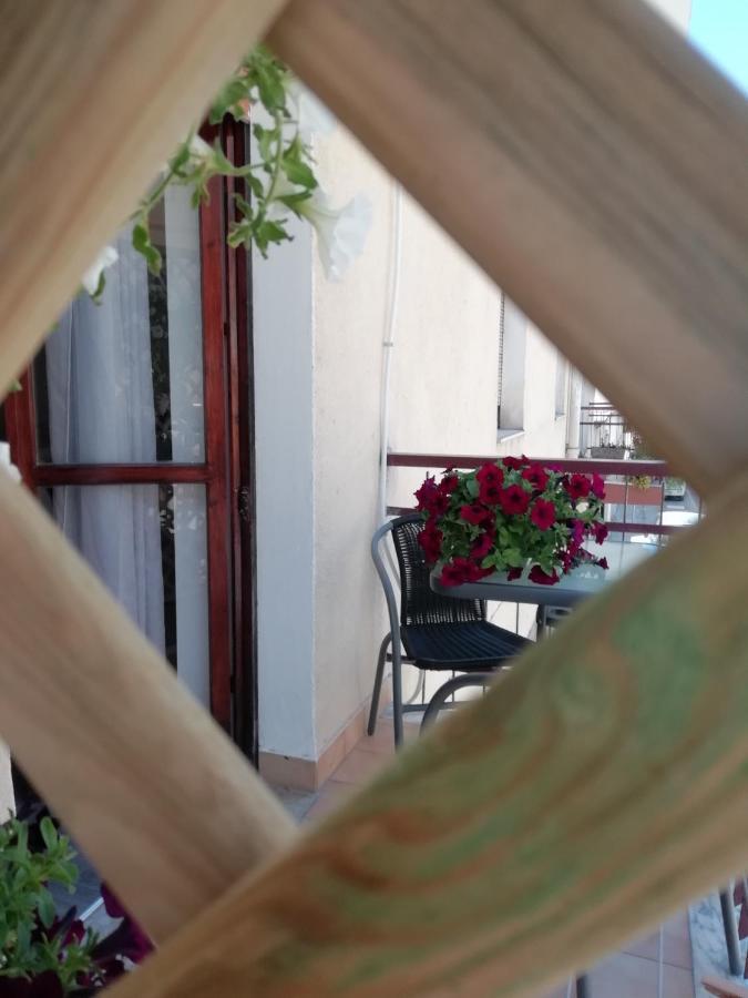 A Casa Di Giulia B&B 阿尔盖罗 外观 照片